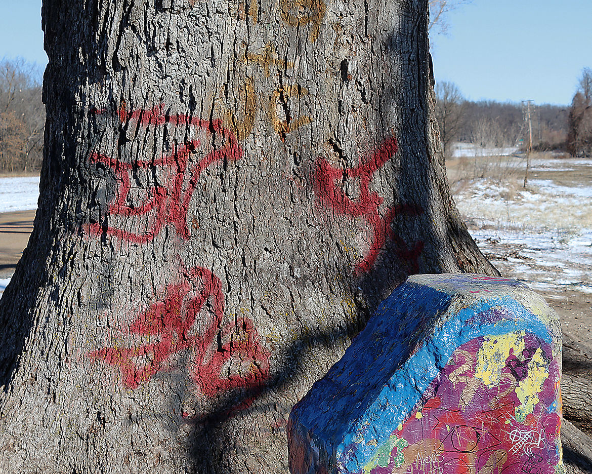 Big Tree vandalized